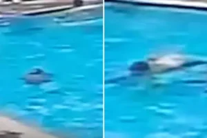 Shocking moment adults swim past drowning child – as two ‘heroic’ boys come to his rescue