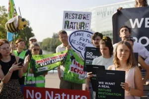 EU politicians back major plan to protect nature and fight climate change