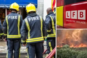 London Fire Brigade ‘prepared’ for heatwaves with new specialist training after UK wildfire destroyed 16 homes last year