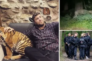 Crime boss’s son calls for safe return of missing Berlin ‘lion’ – as authorities insist video actually shows a wild boar