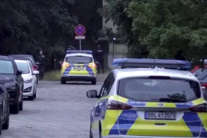 Authorities call off Berlin lioness alert, saying ‘no evidence of any predator’