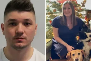 Drug driver who mowed down best-selling author’s step-daughter and three dogs in high-speed crash jailed