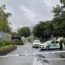 The victim, in his 30s, was shot dead in Tottenham