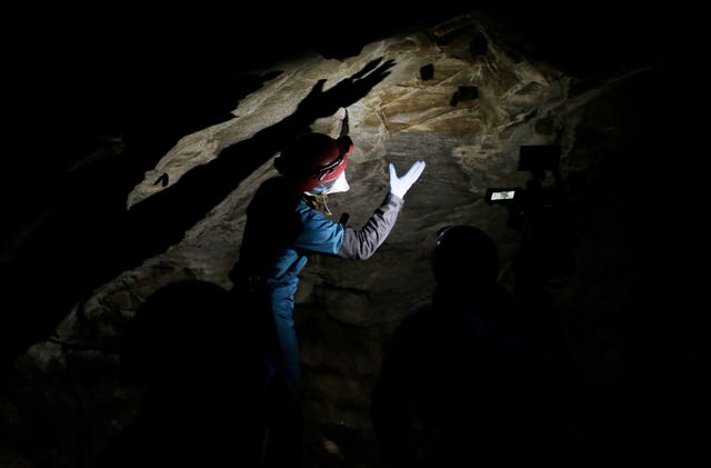 89747a52a5b4426ab1410210764b8fef Bats on a cave wall