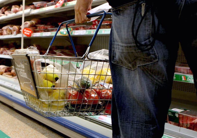 2-73202023 Shopper with basket