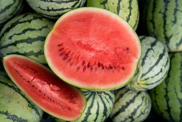 2-73432540 Watermelon farming