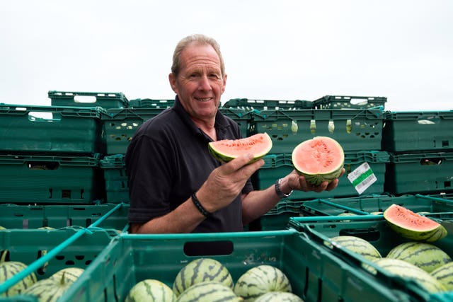 2-73432556 Watermelon farming