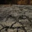Dried soil in August 2022