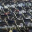 House rooftops
