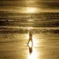 A walker on a beach in Kent