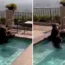 A bear was caught cooling off in a jacuzzi