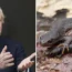 The PM is facing pushback over concerns of newt protection laws.