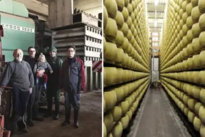 Grandad crushed to death by thousands of wheels of cheese as rescuers take 12 hours to find him