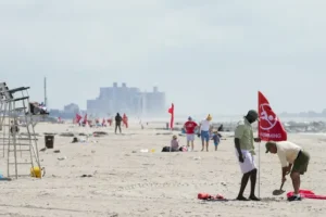 Woman critically injured after being bitten by shark off New York beach