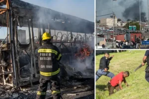 British doctor, 40, shot dead in South Africa riot after taking wrong turn out of airport