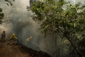 Cooler weather overnight helps firefighters battling Tenerife wildfire
