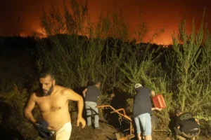 Tenerife wildfire started deliberately, official says
