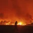 A forest wildfire in north-eastern Greece
