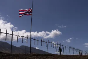 Hawaii officials urge families of people missing after fires to give DNA samples