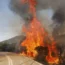 Trees burn near the north-eastern Greek village of Kirkis