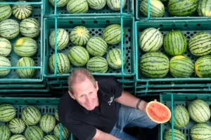 Record-breaking year for British watermelon grower despite rainy July
