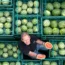 Nick Molesworth, manager of Oakley Farms in Wisbech, Cambridgeshire stands amongst the watermelons