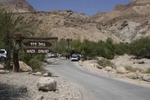 Children among injured after rockslide near Dead Sea in Israel
