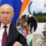 Putin did not mention the crash during the summit
