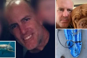 Surfer suffers massive blood loss in 30 second fight with great white shark as he’s saved by off-duty doctor on the beach