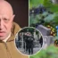 A "farewell ceremony" has been held for Wagner chief Yevgeny Prigozhin