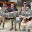 Mississippi alligator