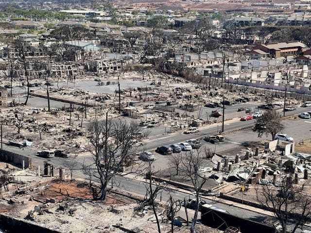 Burnt areas in Lahaina on the island of Maui