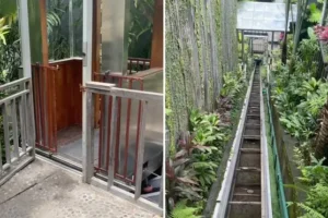 Five killed as steel cable on glass lift snaps at Bali resort