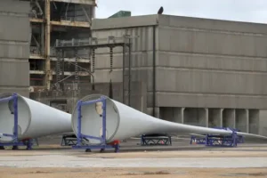 Why was there no new offshore wind in this year’s renewables auction?