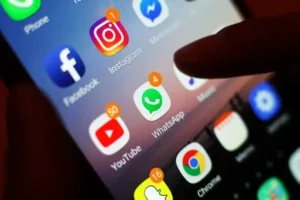 Animal cruelty content targeted in Online Safety Bill amendment