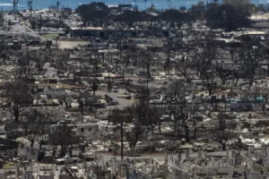 Number of people missing following Maui wildfires drops to 66