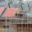 Houses under construction