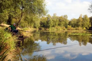 Woman arrested on suspicion of murder after body of girl, 2, found in pond