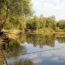 Kingsley Pond, near Bordon, Hampshire (stock image)