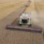 Poland Ukraine Grain