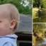 A girl, 2, found in a pond (stock images) in Hampshire near her home has been named as Annabel Mackey