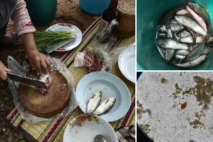 Popular Thai dish so dangerous eating it could give you liver cancer