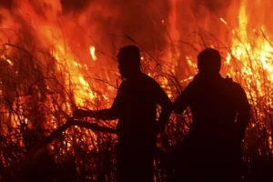 Firefighters battle peatland blazes on Indonesian island of Sumatra
