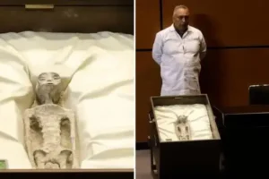 ‘Alien corpses’ with three fingers and long heads presented in Mexico are ‘unsubstantiated stunt’ insists UFO expert