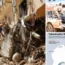 Libya has been devastated by the floods