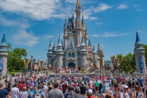 Wild black bear captured in Florida’s Walt Disney World