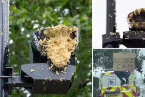 Now furious anti-Ulez activists spray cameras with insulating foam to disable them as police crackdown continues