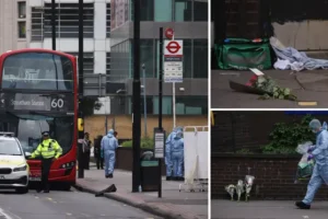 Family of girl, 15, stabbed to death in Croydon rushed to scene but ‘did not make it in time before she died’