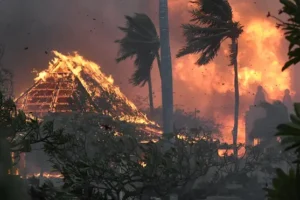 First Maui fire congressional hearing to focus on electric provider, power grid
