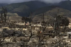 Few answers in congressional hearing on Maui’s wildfire and electric provider